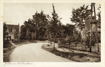 8392 Gezicht in het noordelijke gedeelte van de Overboslaan te Bilthoven uit het westen.